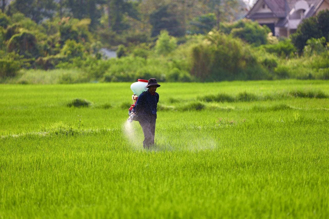 urea getting diverted to fertilizers instead of def