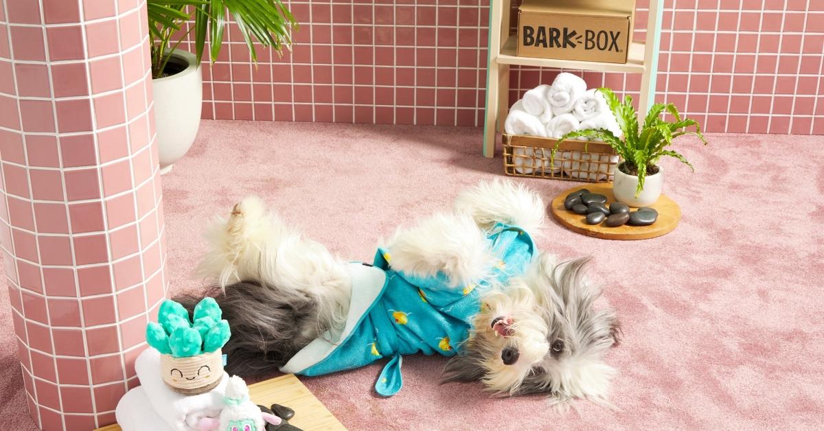 Barkbox Dog care subscription box