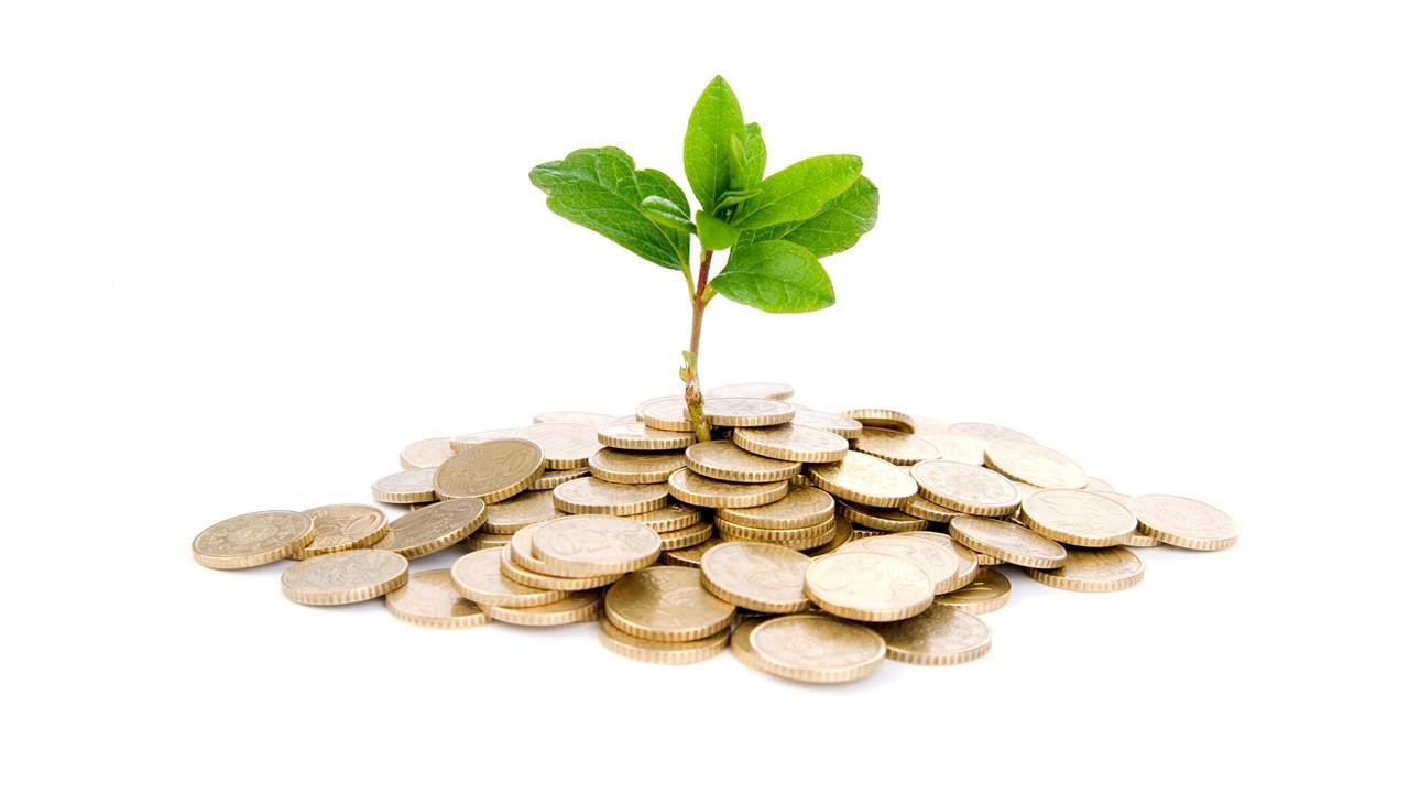 Microventures image of money growing a seed