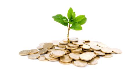 Microventures image of money growing a seed