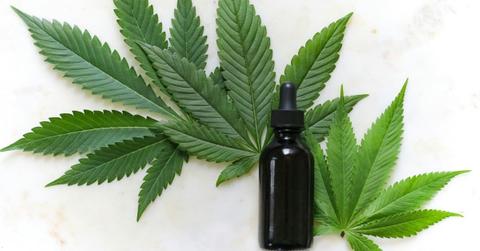 pn//uploads/dd ff ee af dfc__