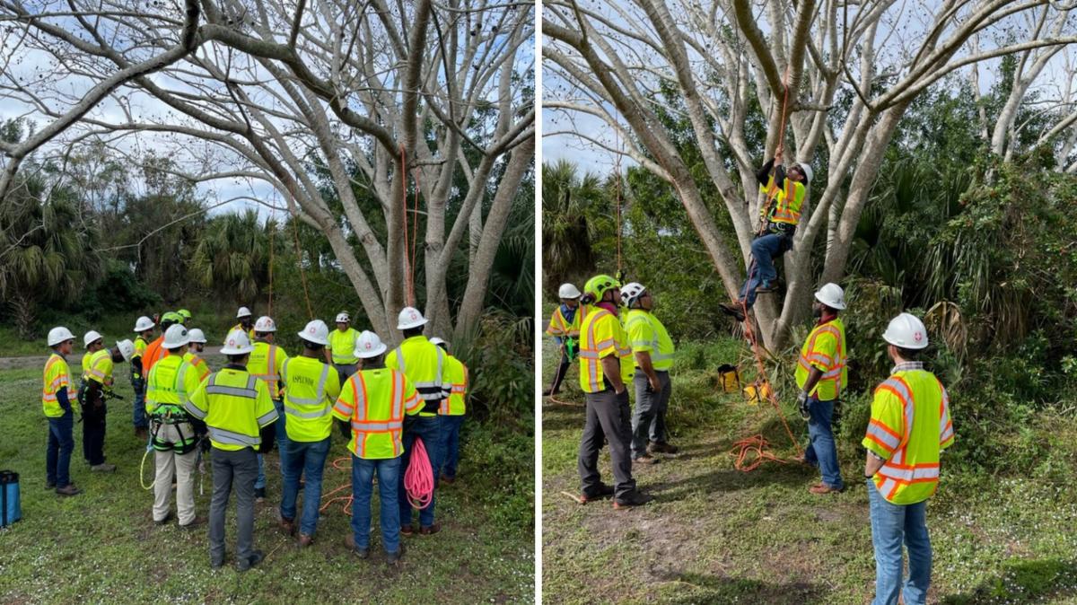 asplundh tree company is privately held