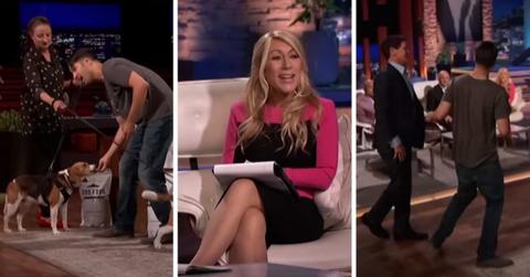 pn//uploads/cf b f bf eeeeda__