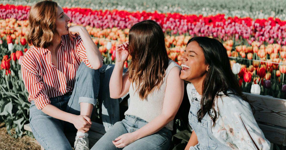 pn//uploads/cad dbe ee cbed__