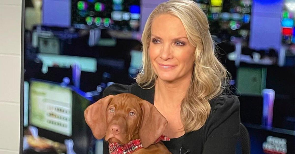 Is Dana Perino Still on ‘The Five’? Career Info for Fox News Host