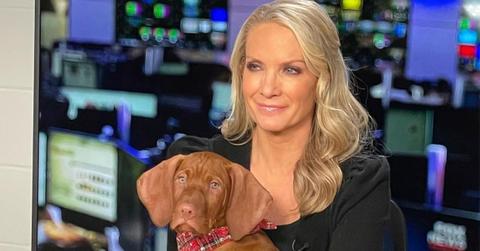 Dana Perino