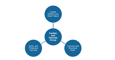 uploads///ardiovascular segmentation