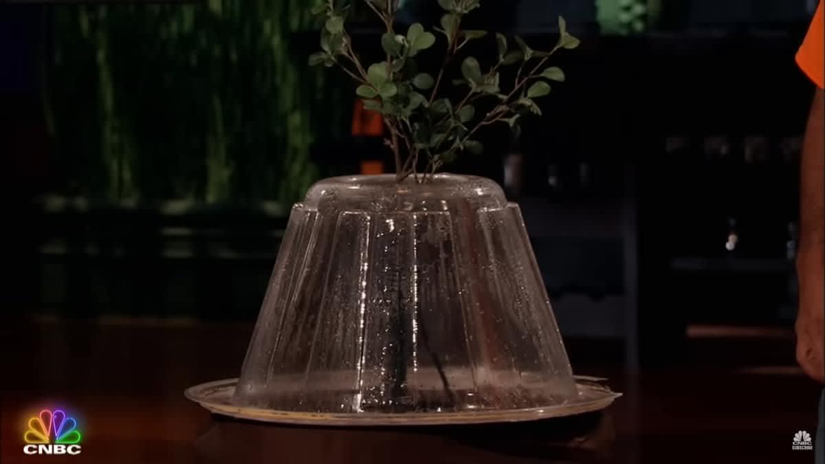 pn/bbecc e a abf aebbca