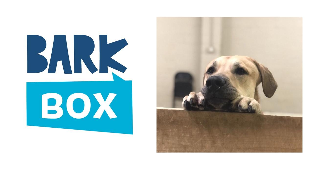 BarkBox logo