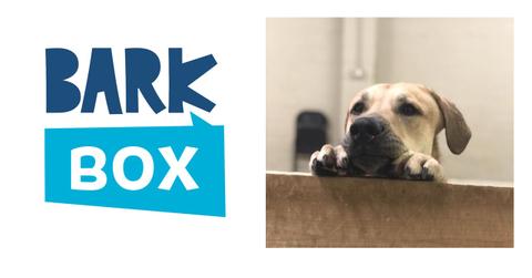 BarkBox logo