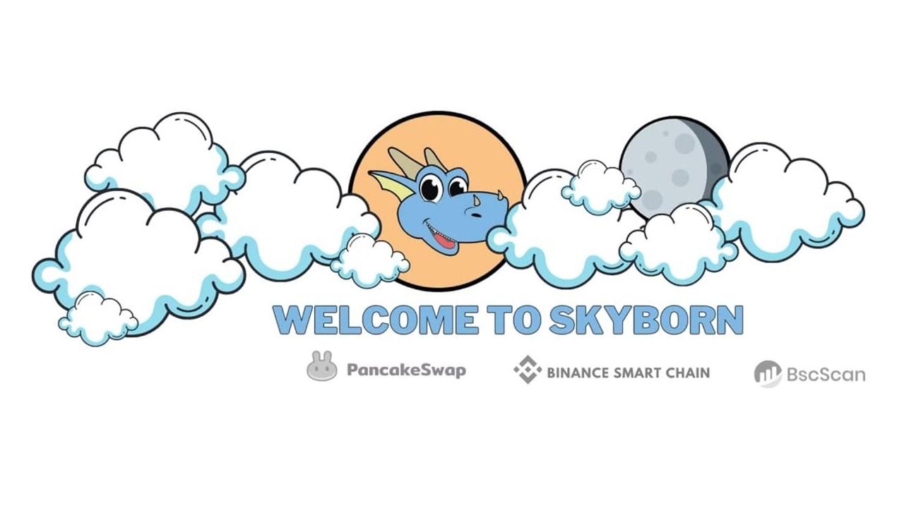 Skyborn crypto logo