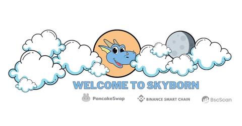 Skyborn crypto logo