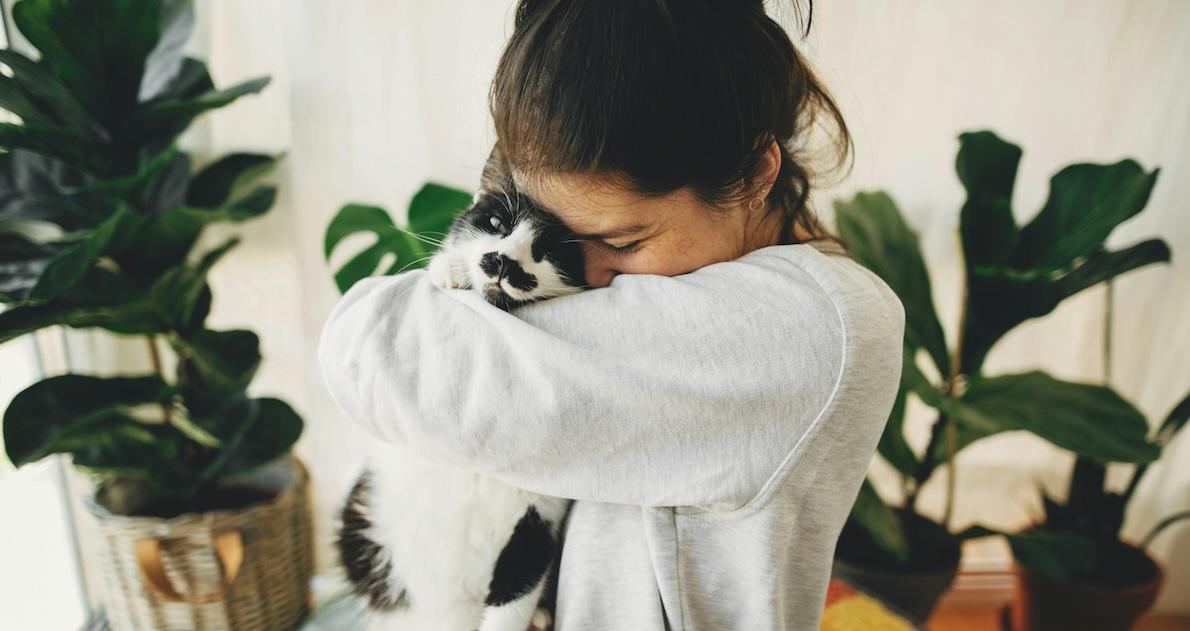 emotional support pet