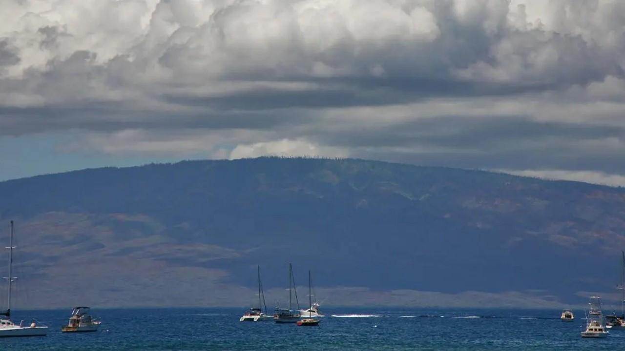 larry ellison lanai island