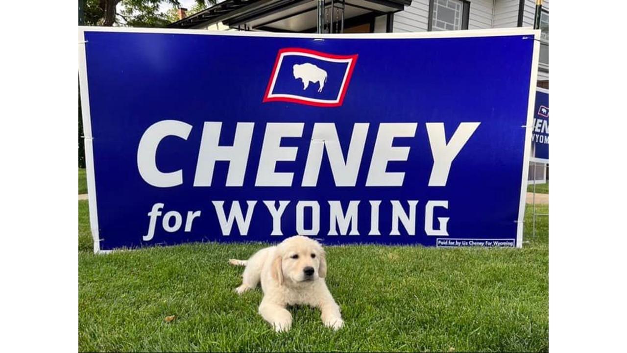 liz cheney sign