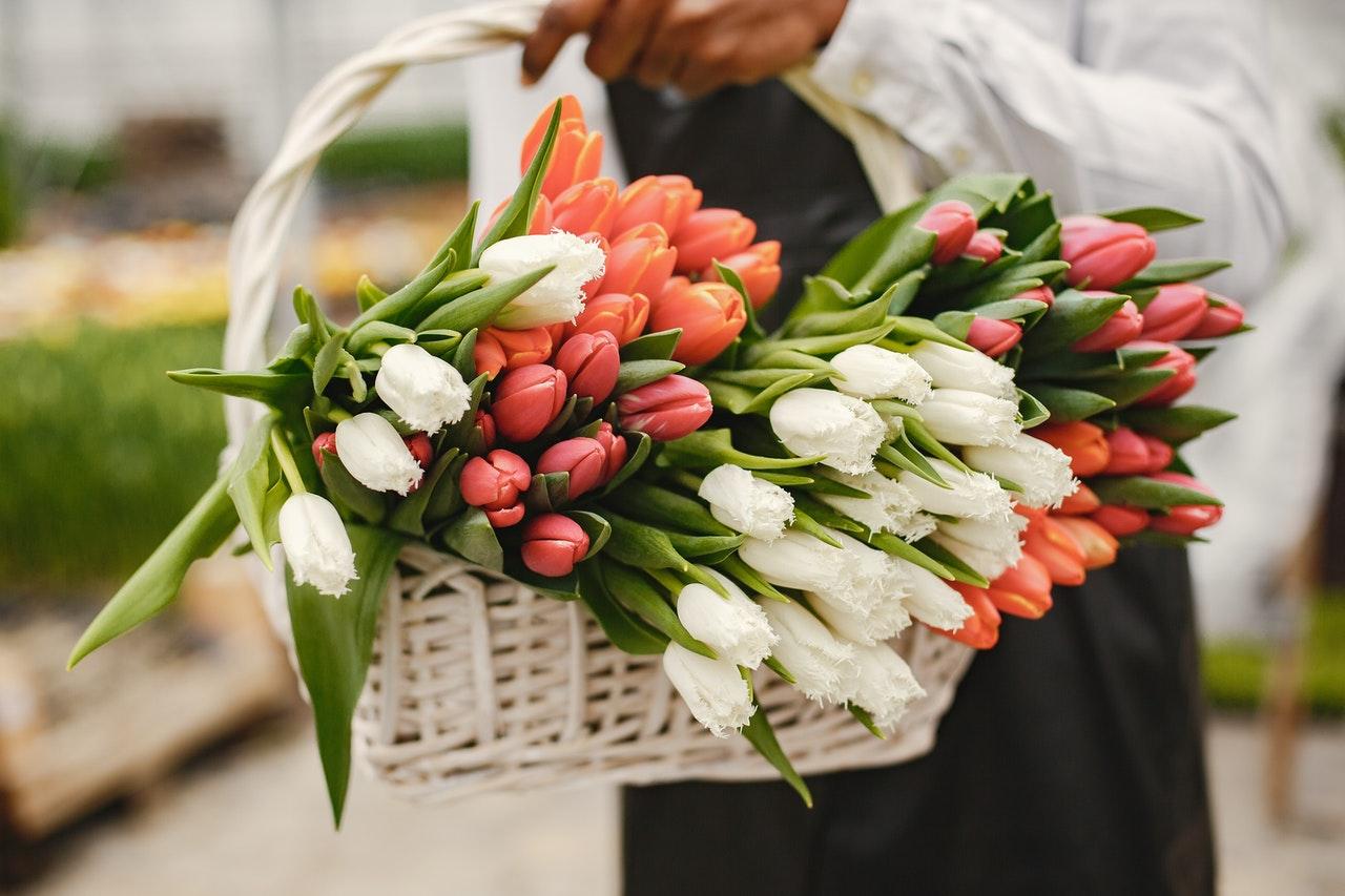 Basket of flowers