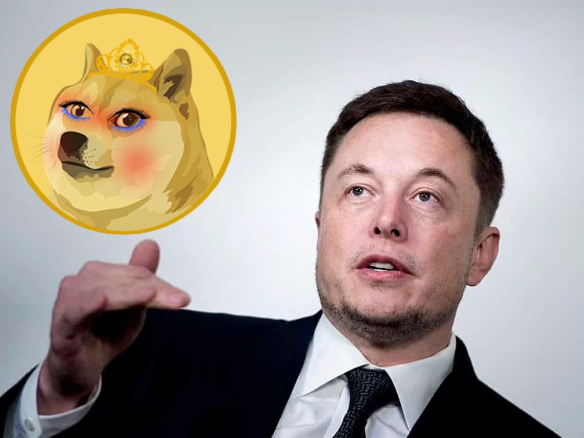 WIFEDOGE logo and Elon Musk