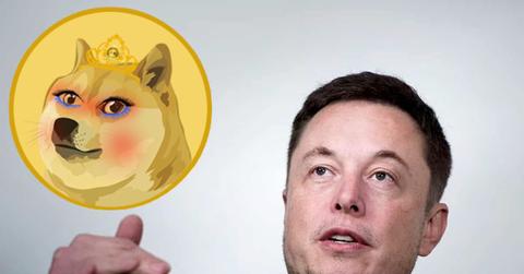 WIFEDOGE logo and Elon Musk