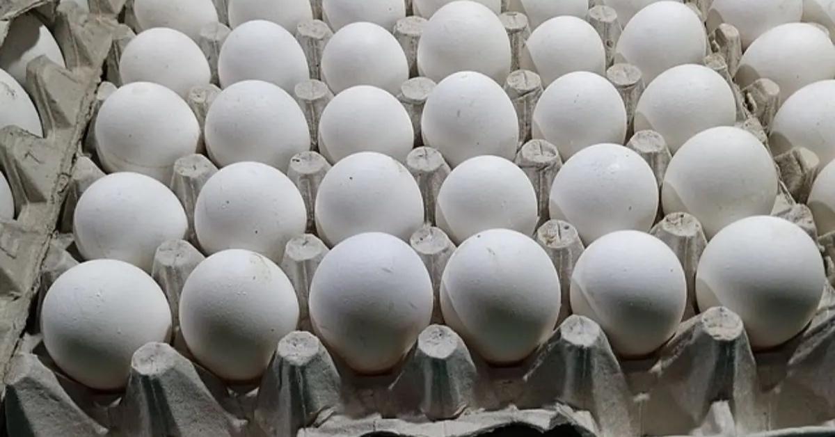 More than a dozen white eggs sit in an egg crate.