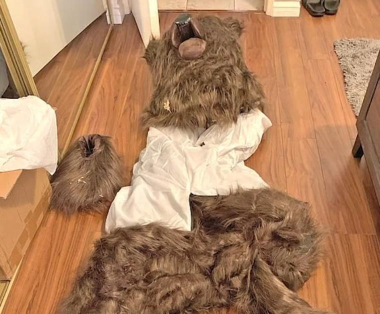 bear suit used in an alleged insurance scam