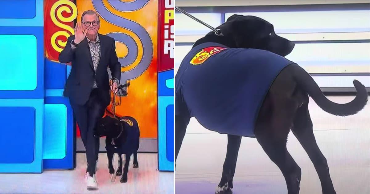 pn//uploads/ca c f a baca__