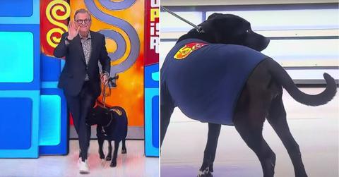 pn//uploads/ca c f a baca__