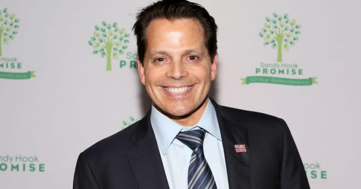 pn//uploads/dcb ab ee a daacbcbf__