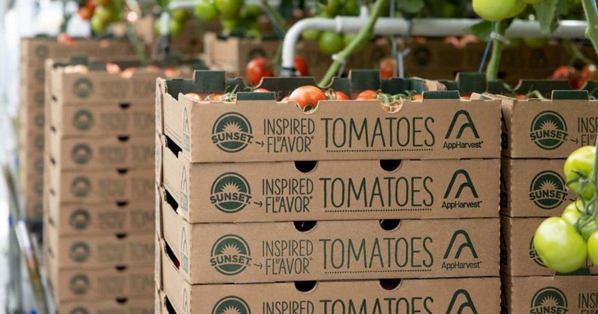 pn//uploads/ddf bc ee bfb cbefaeee__