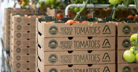 pn//uploads/ddf bc ee bfb cbefaeee__