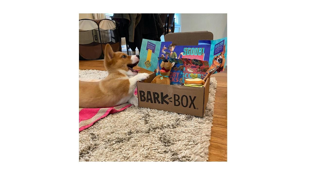 about barkbox