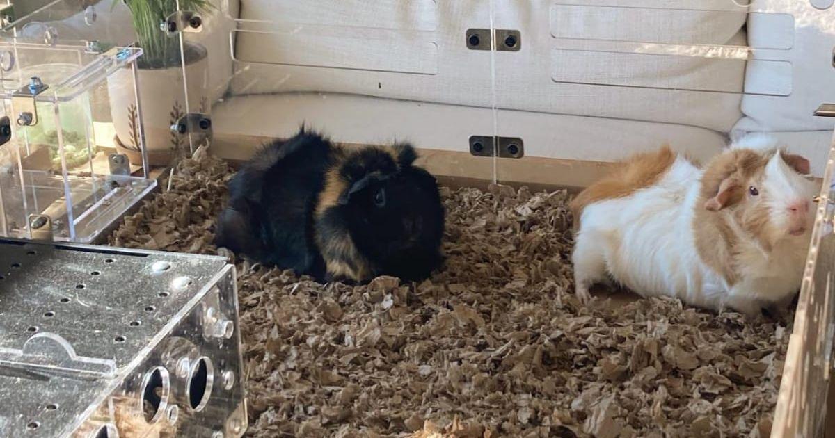 pn//uploads/ba b ee f cefcae__