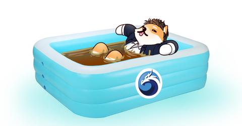 QuickswapDEX pool graphic