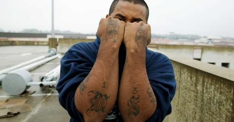 pn//uploads/aa c ef ac bdecaab__