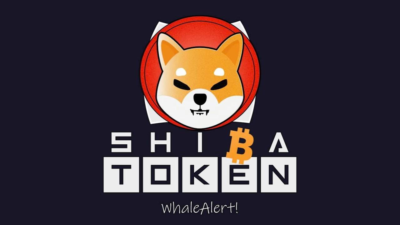 Shiba Inu Shib Price Prediction Will It Rise Or Fall