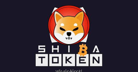 Shiba token logo