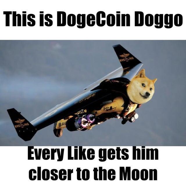 dogecoin will never go up