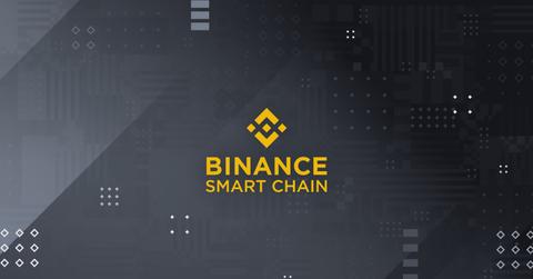 Binance Smart Chain Logo