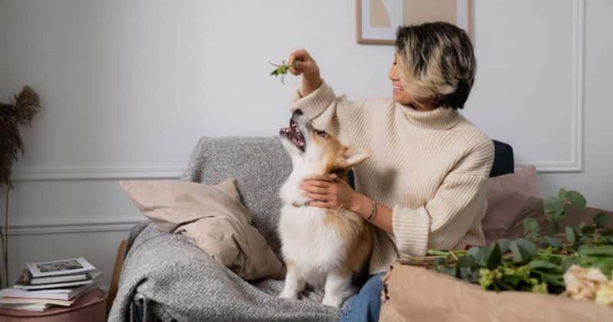 pn//uploads/afba fbd ee af cb__