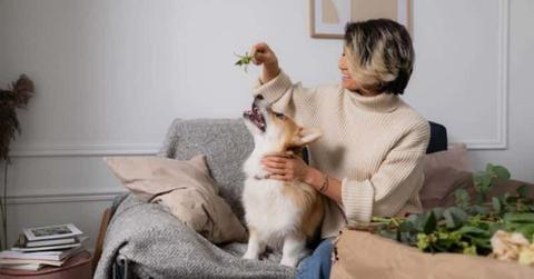 pn//uploads/afba fbd ee af cb__