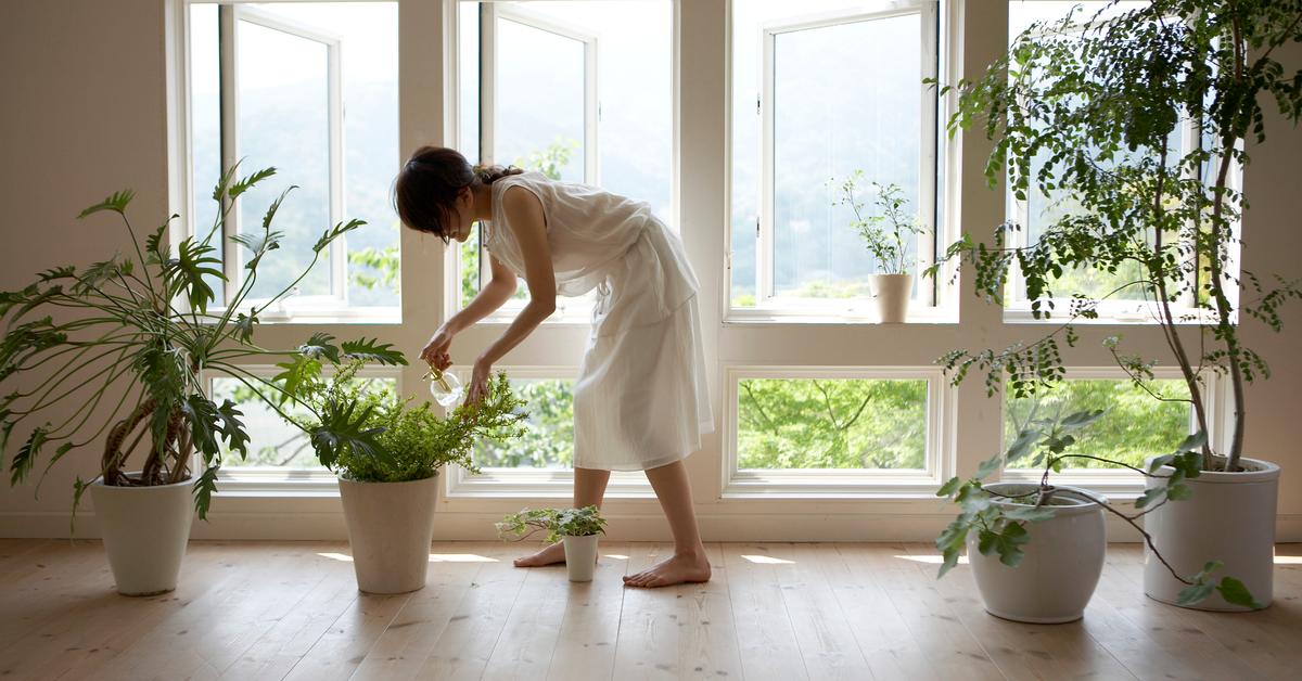 What Happens After You Pay Off Your House? Explained
