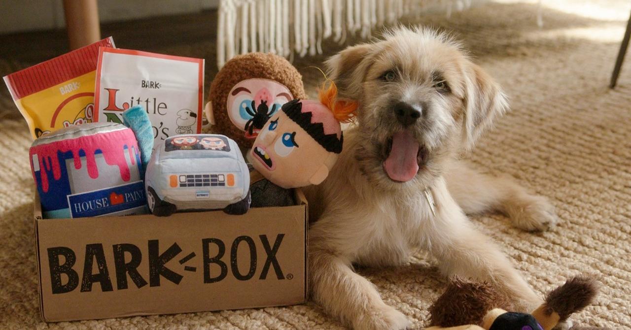 When Is BarkBox's SPAC IPO Date and What Can Investors Expect?