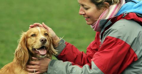 pn//uploads/bed d ee a bbfaad__