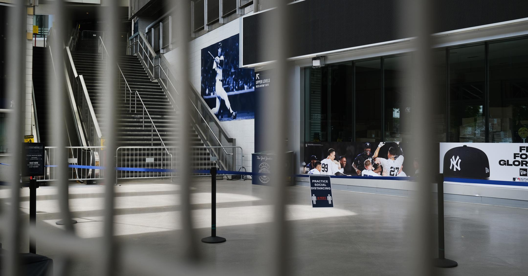 Are There Any Publicly Traded Professional Sports Teams?