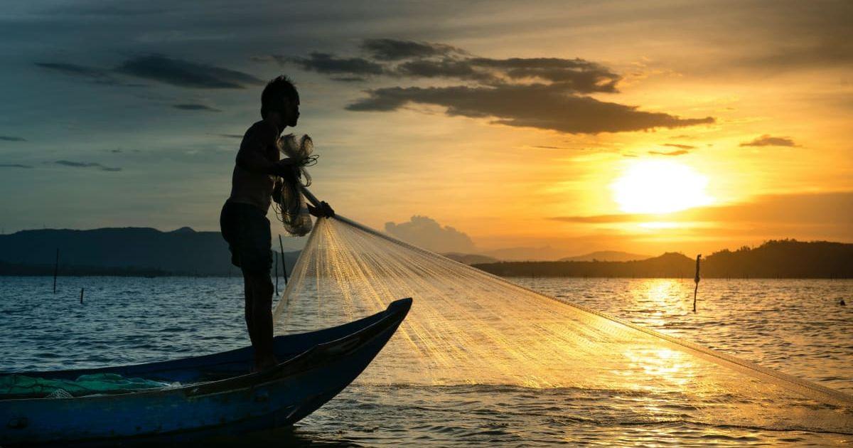 pn//uploads/dbdcb edac ee a dffcfaaf__