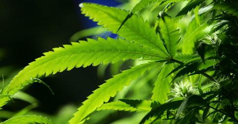 pn//uploads/e c ee a dfebcf__