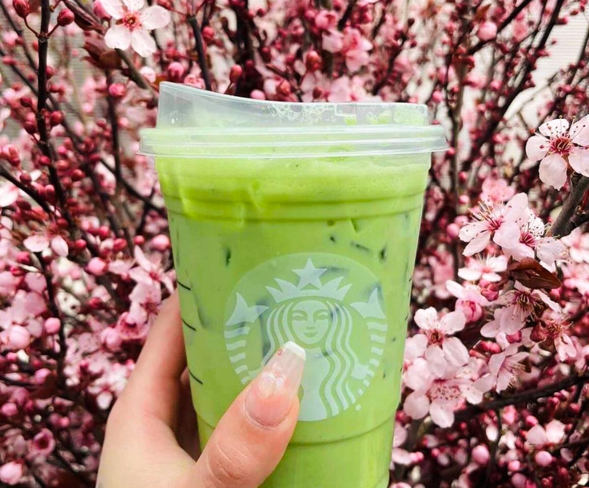 Starbucks matcha drink