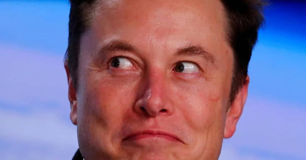 How Much did Elon Musk Pay in Taxes This Year?