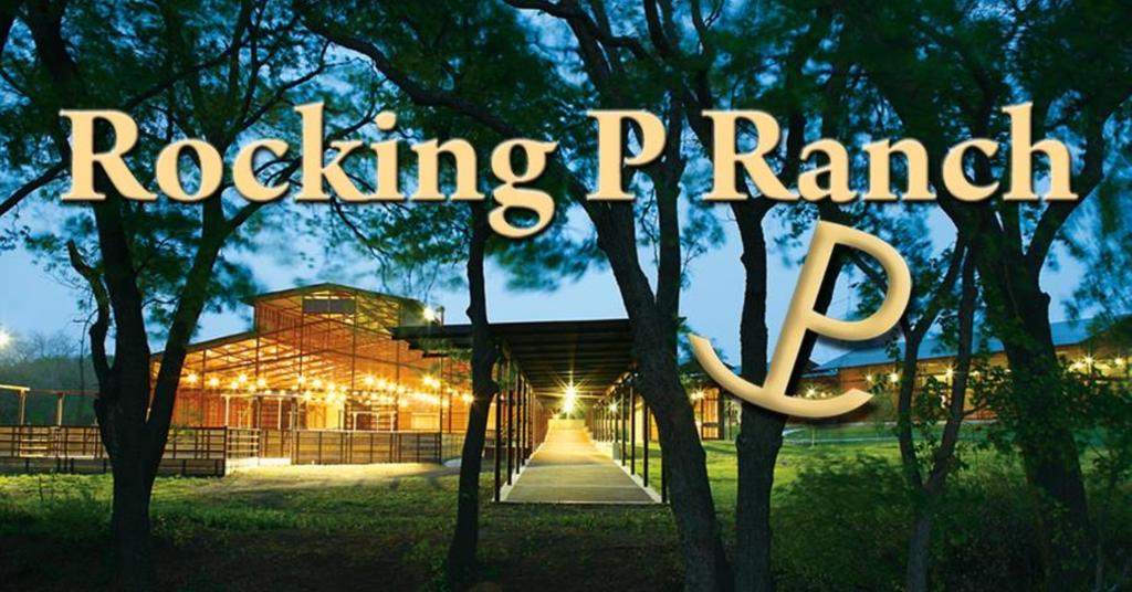 Who Owns Metallic Cat? The Horse Featured in 'Yellowstone'