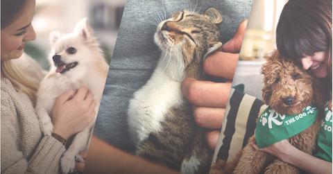 People holding dogs and cats