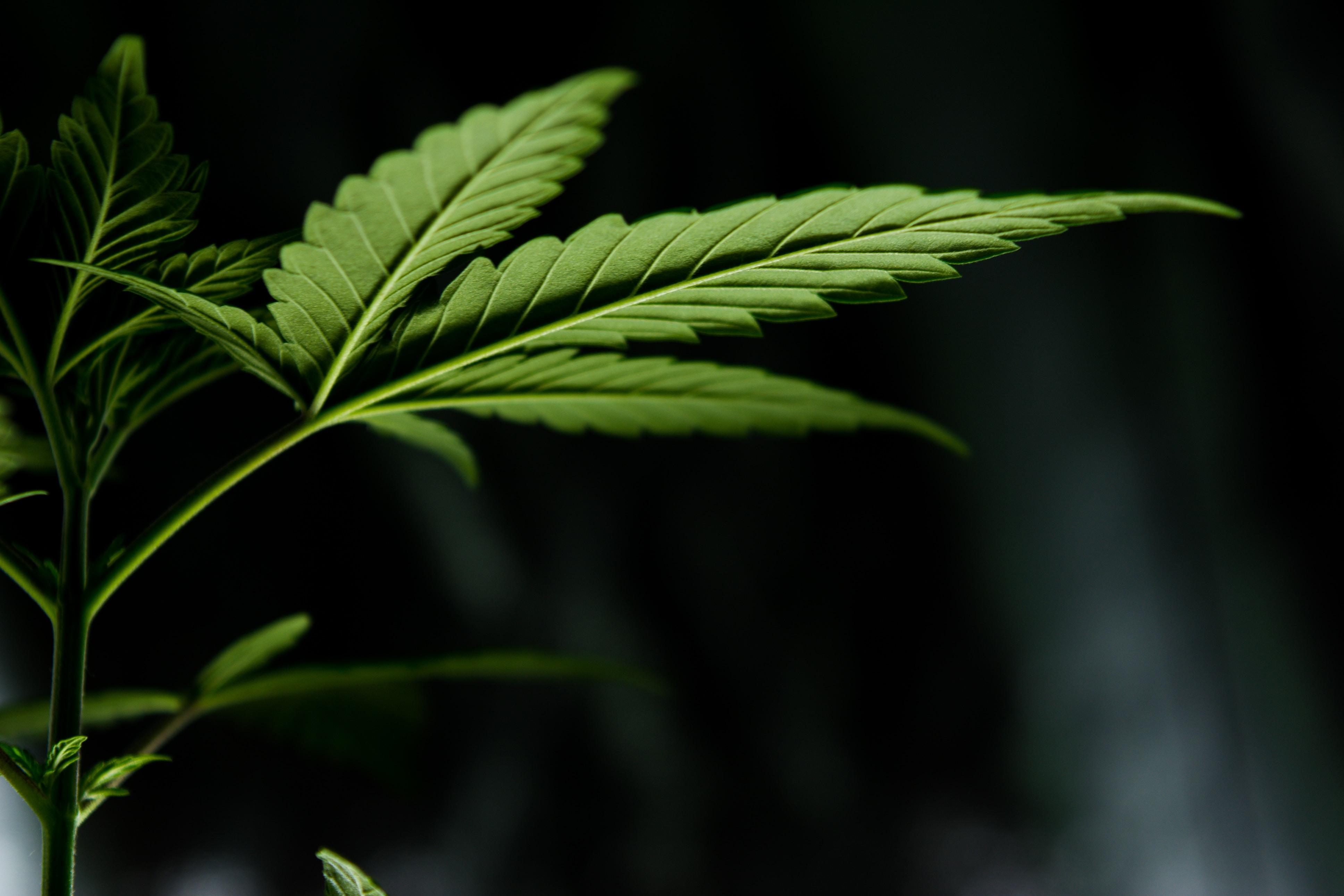 uploads///esteban lopez _kgqSnYIo unsplash